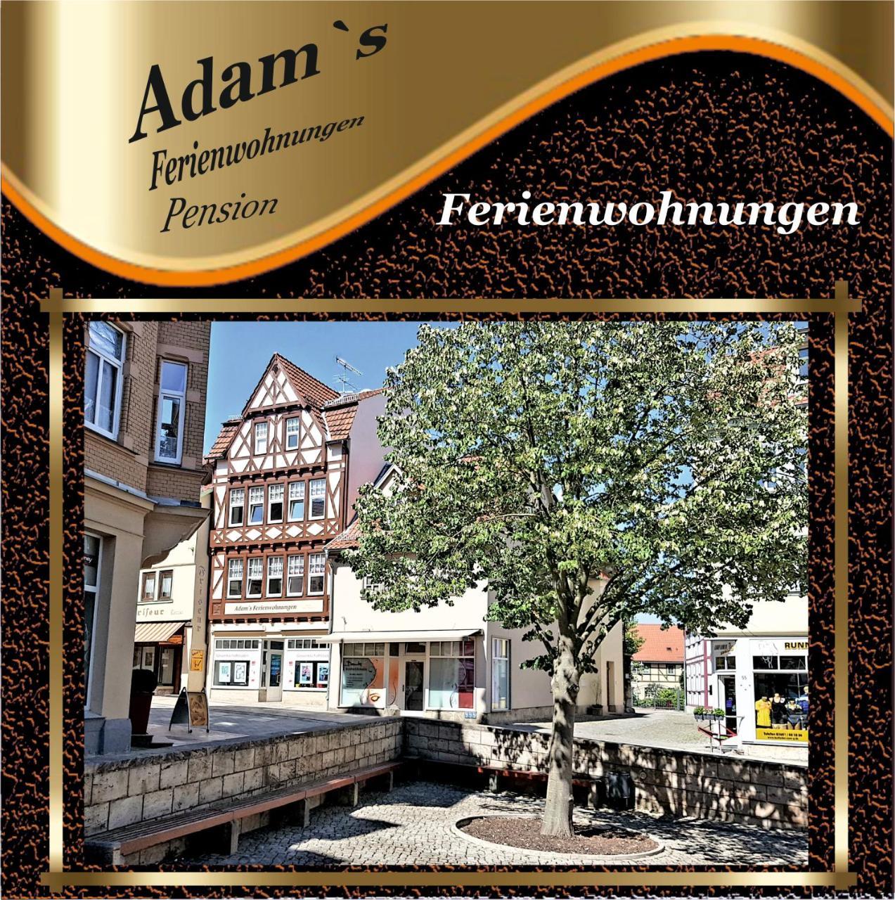 Adams Pension Und Ferienwohnungen 米尔豪森 外观 照片