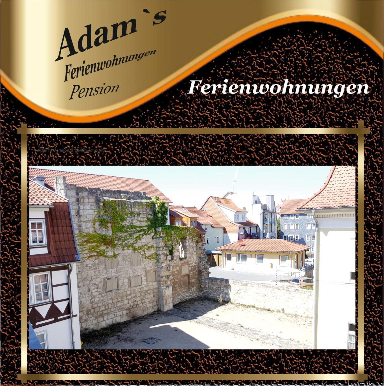 Adams Pension Und Ferienwohnungen 米尔豪森 外观 照片